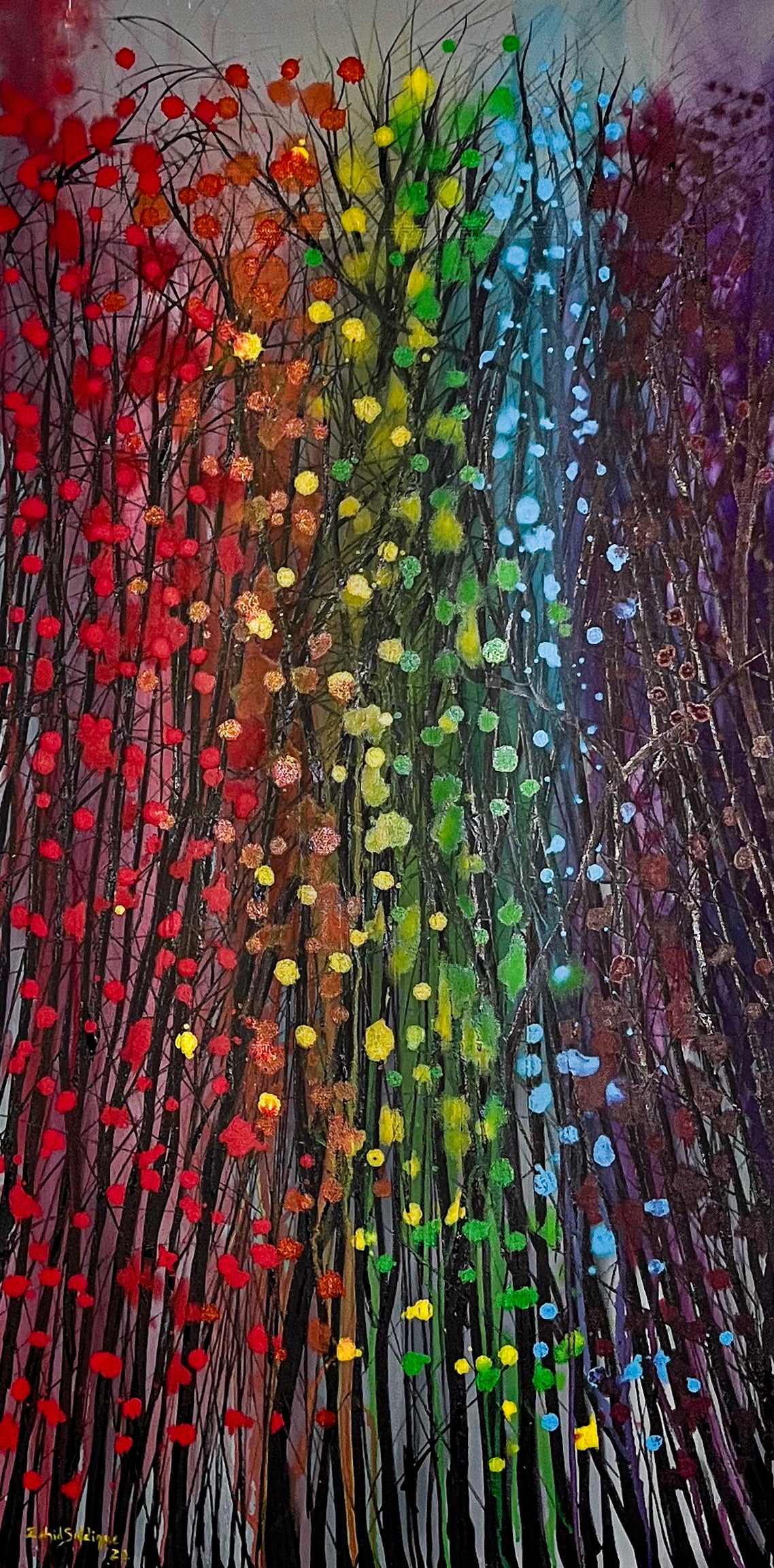 Rainbow Forest