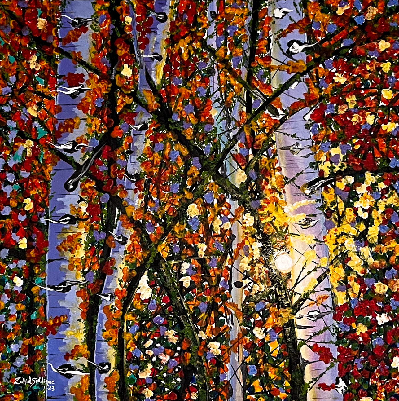 First Light