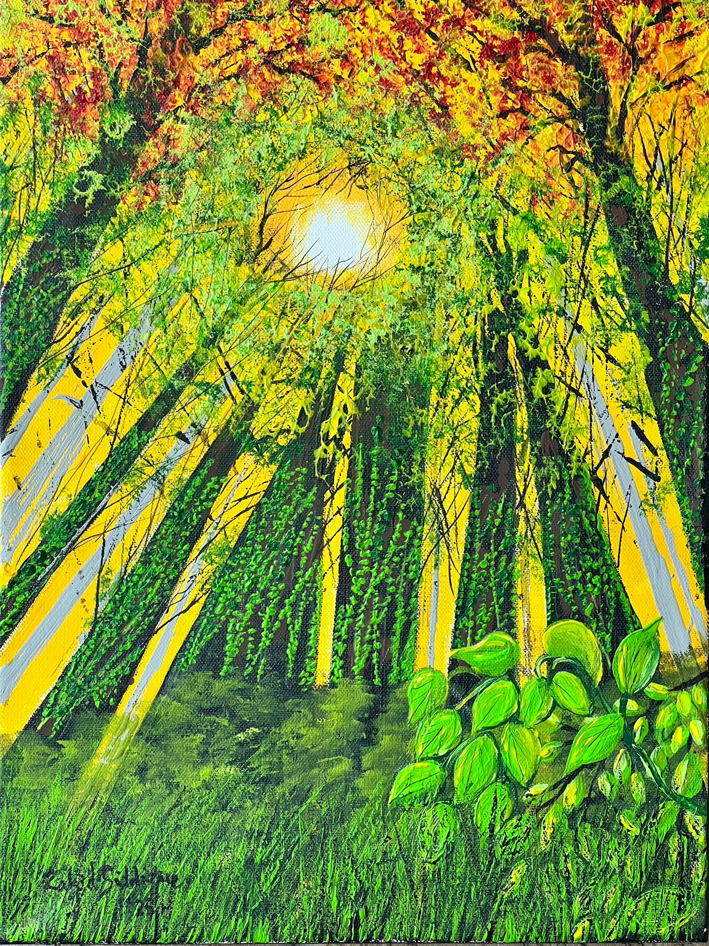 “Looking Up” –12"x16" Gallery Wrapped Stretched Canvas