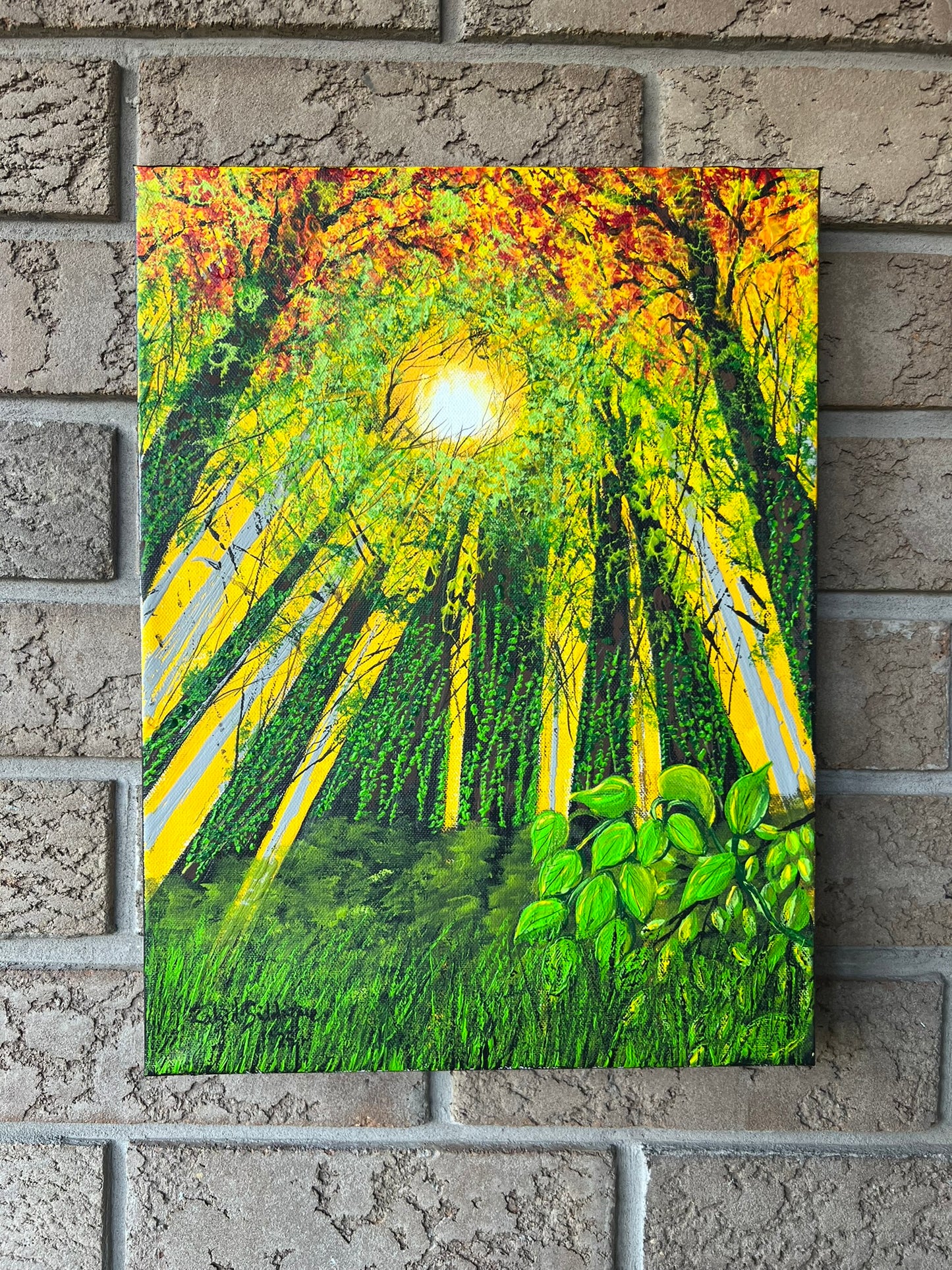 “Looking Up” –12"x16" Gallery Wrapped Stretched Canvas