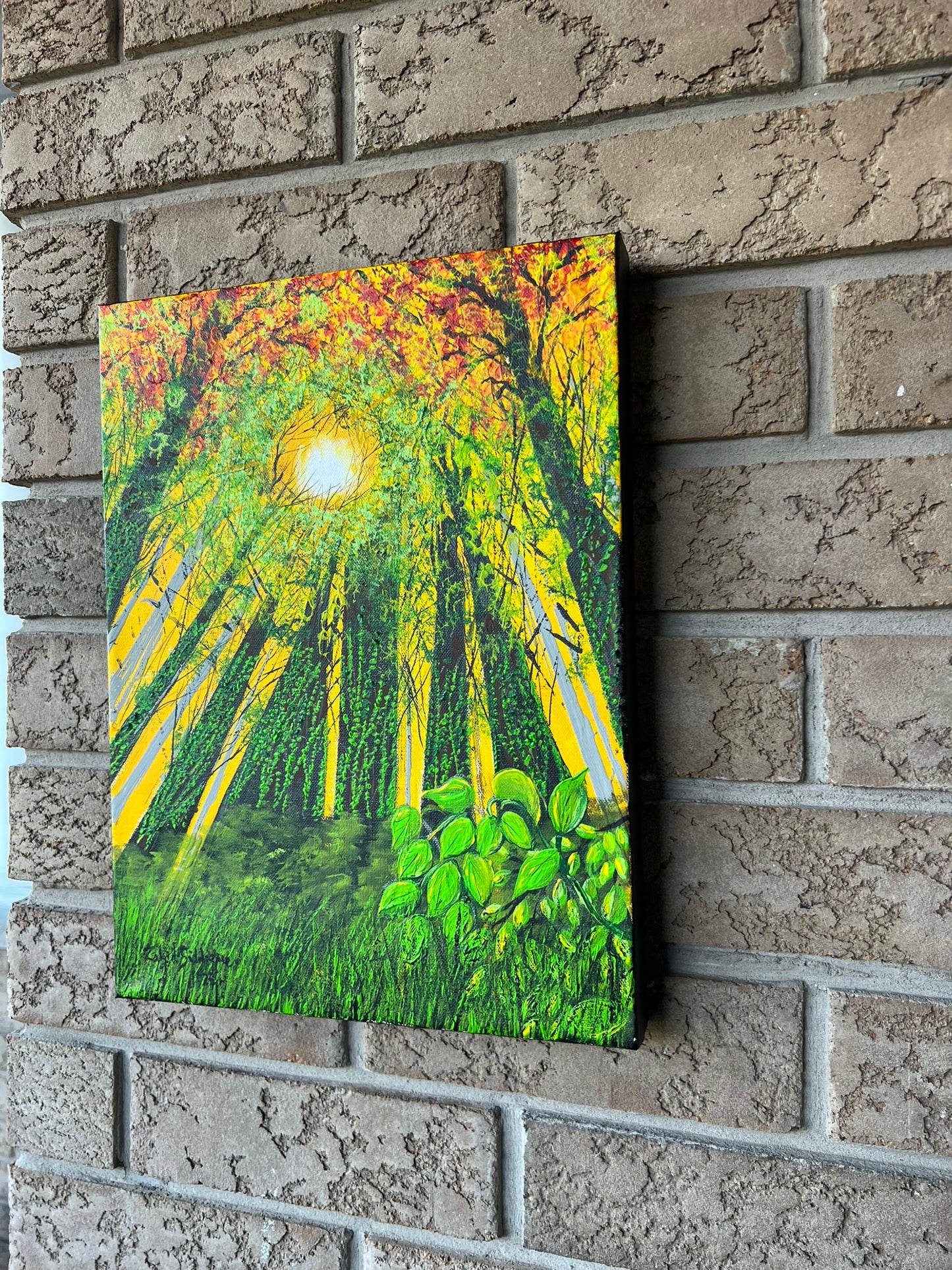“Looking Up” –12"x16" Gallery Wrapped Stretched Canvas