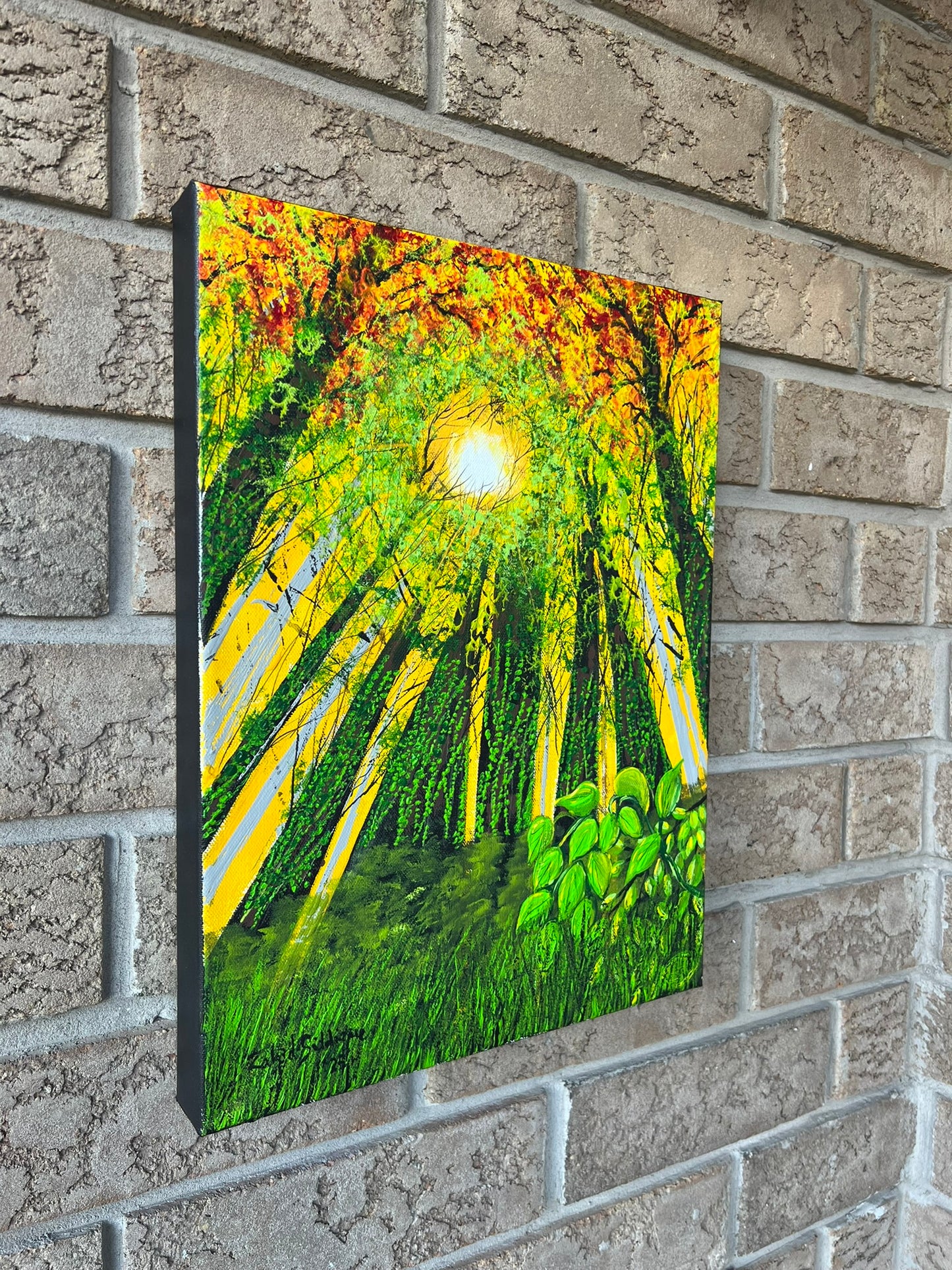 “Looking Up” –12"x16" Gallery Wrapped Stretched Canvas